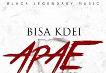 Official Music Video: Bisa Kdei – Apae